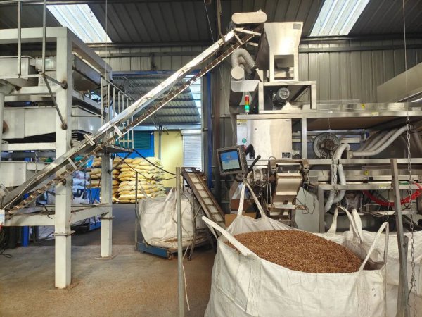 什么？榛子、柞蚕、梅花鹿王人有“现象管家”了？！